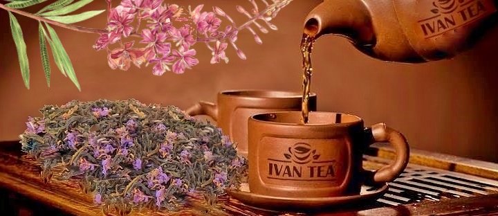 Иван чай