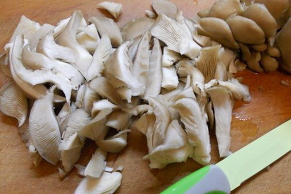 Что приготовить из грибов вешенок быстро и вкусно. Рецепты с фото