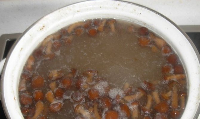 Суп-пюре из свежих и замороженных опят
