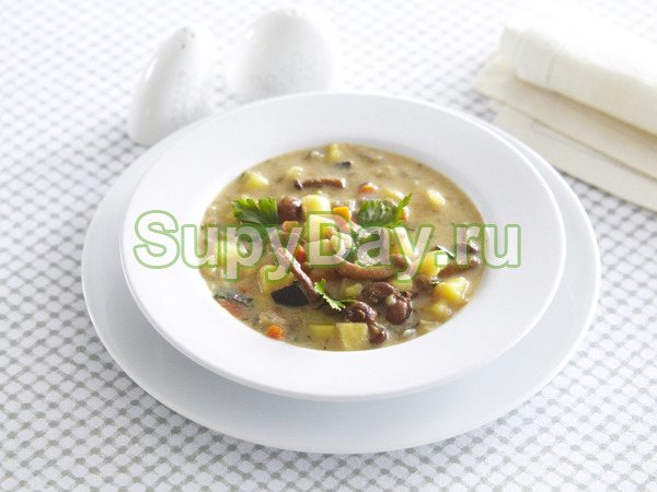 Грибной суп с опятами «На каждый день»