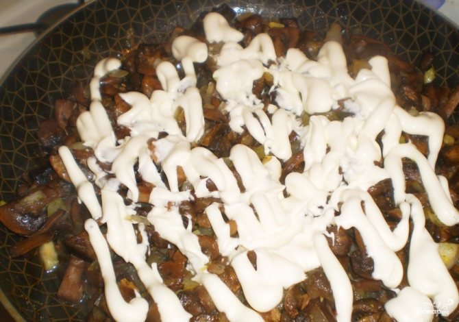 Рецепты: как вкусно приготовить грибы вешенки в сметане на сковороде и в духовке