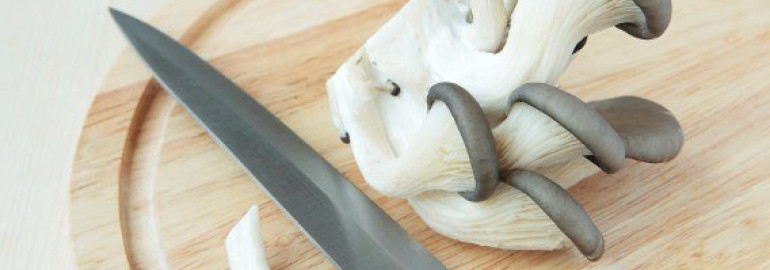 Рецепты: как вкусно приготовить грибы вешенки в сметане на сковороде и в духовке