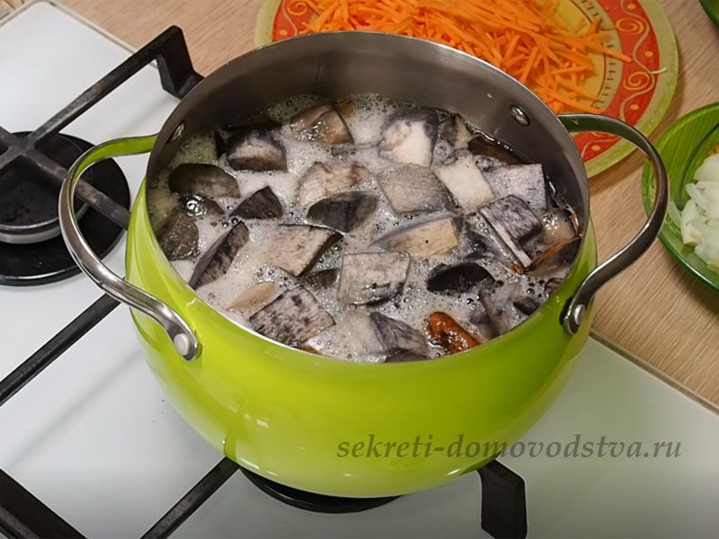 Солянка из капусты с грибами - рецепты в духовке, в мультиварке или на зиму
