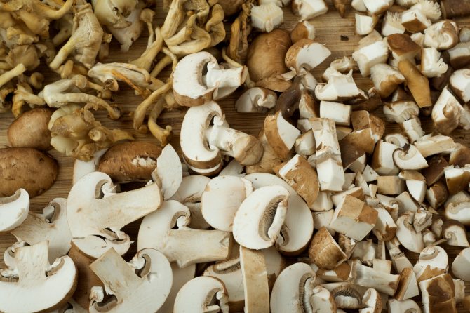 Можно ли есть шампиньоны сырыми: что будет, чем полезны, как кушать, рецепты и правила употребления свежих грибов