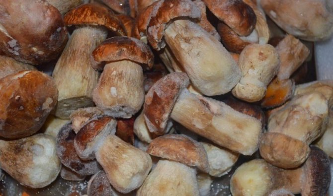Как готовить замороженные белые грибы