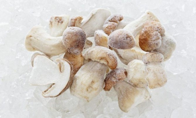 Замороженные белые грибы