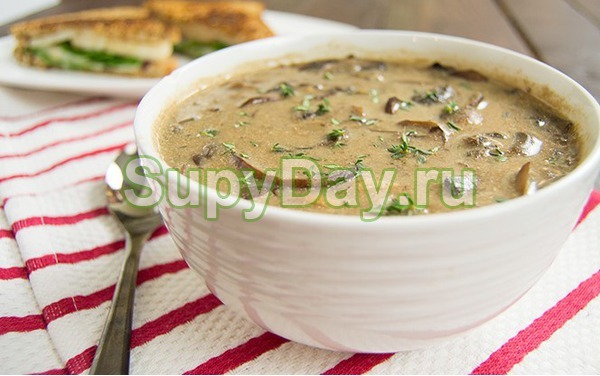 Пикантный суп из свежих белых грибов и картофеля