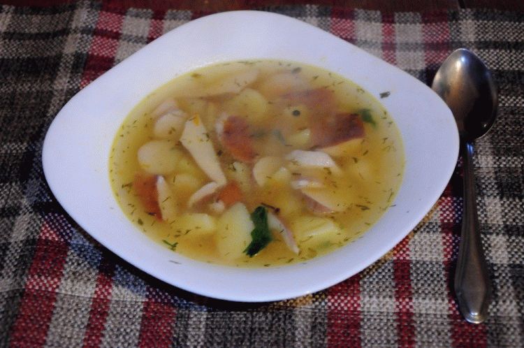 Суп из свежих белых грибов - 10 самых вкусных рецептов