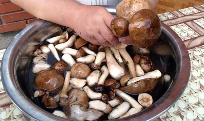 Как подготовить грибы к употреблению в пищу? Советы +Видео