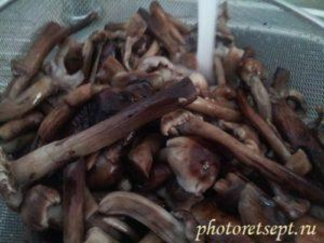 Икра грибная на зиму рецепт через мясорубку пошаговый с фото 