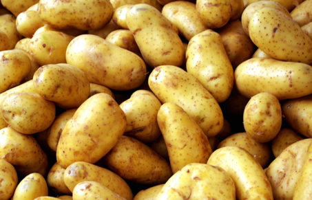Картошка с фаршем в духовке – запеченная и фаршированная