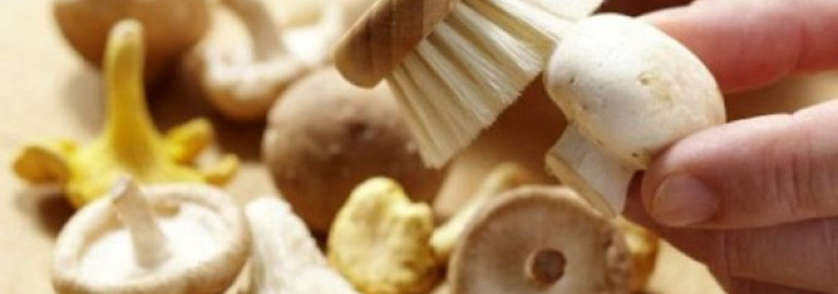 Надо ли чистить шампиньоны перед приготовлением, как почистить свежие грибы (в том числе из магазина)