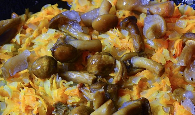 Пироги на кефире с грибами: рецепты для духовки и мультиварки, как приготовить грибные пироги