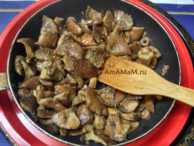 Как пожарить рыжики на сковороде: 5 рецептов жареных грибов +тонкости приготовления (+отзывы)