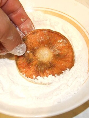 Рыжики, жареные в муке: рецепты грибных блюд