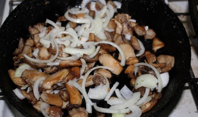 Сколько варить грибы сыроежки до готовности: перед жаркой, засолкой, для супа