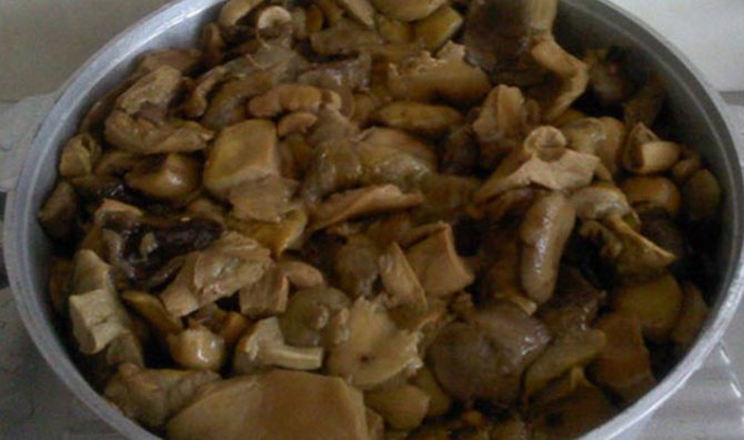 Сколько варить грибы сыроежки до готовности: перед жаркой, засолкой, для супа