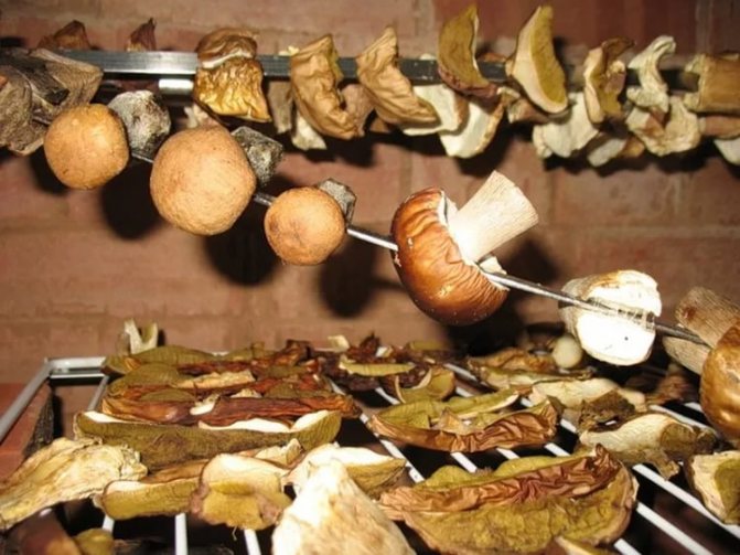 Способ отварить сушеные грибы