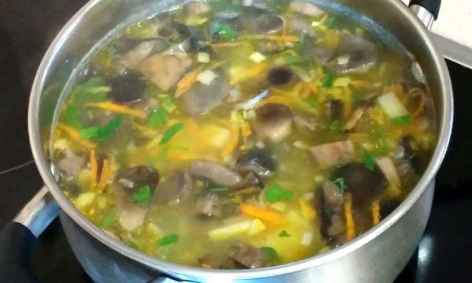 Грибной суп из груздей: рецепты из свежих, соленых и замороженных грибов - Onwomen.ru