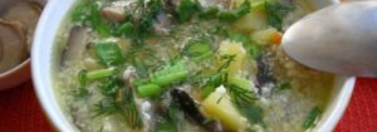 Грибной суп из груздей: рецепты из свежих, соленых и замороженных грибов - Onwomen.ru