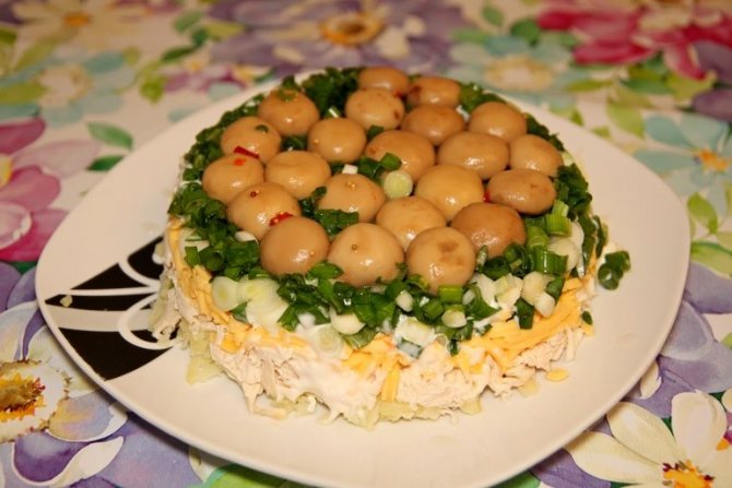 салат Лесная поляна «Перевёртыш» с опятами, подробный пошаговый рецепт фото
