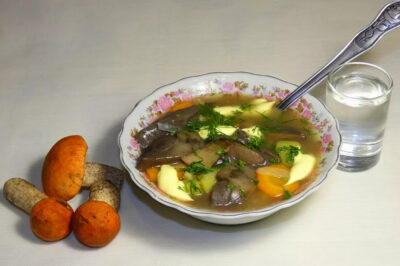 Суп из подосиновиков: свежих, замороженных, сушеных, сколько варить грибы, фото