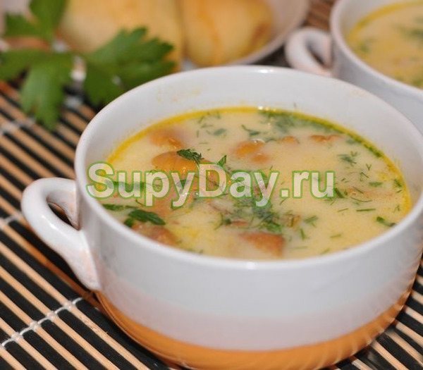 Вкусный грибной суп со сливками