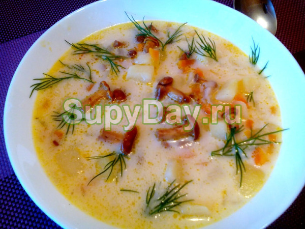 Душистый суп с лисичками и плавленым сыром