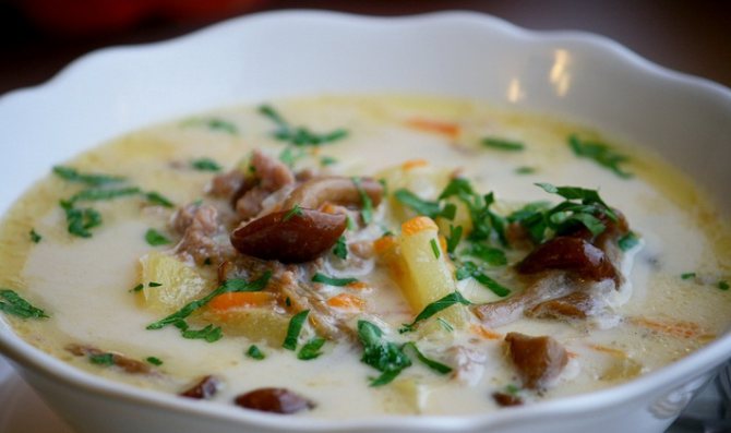 Грибной суп-пюре из замороженных опят со сливками, куриным филе и с сыром, беконом и чесноком