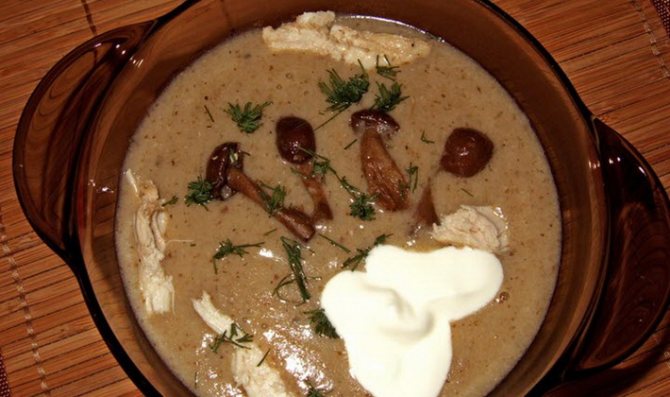Грибной суп-пюре из замороженных опят со сливками, куриным филе и с сыром, беконом и чесноком