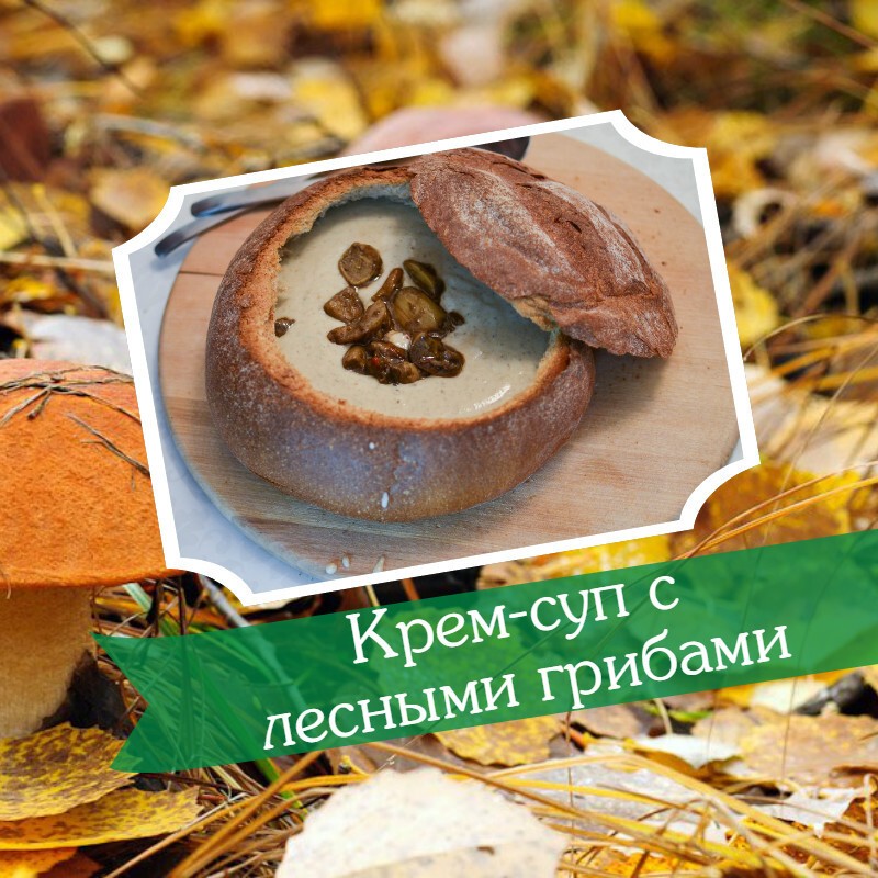 5 вкуснейших блюд из лесных грибов, от которых у вас потекут слюнки