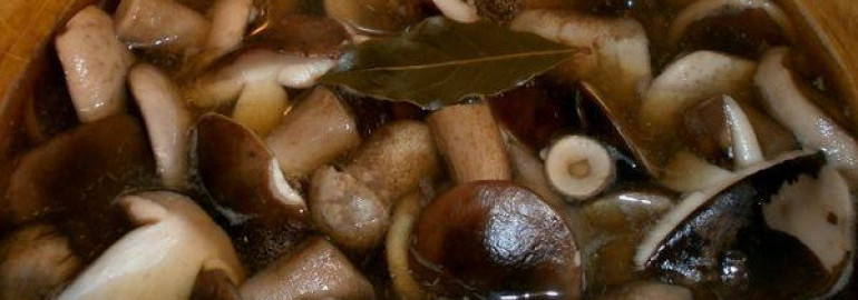 Как приготовить замороженные грибы - рецепты супа, пирога, соуса