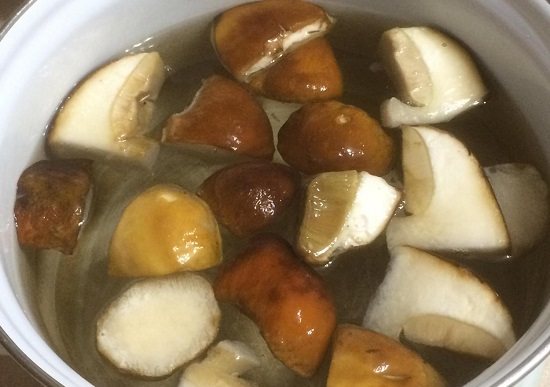 Белые грибы замороженные рецепты приготовления. Блюда из замороженных грибов