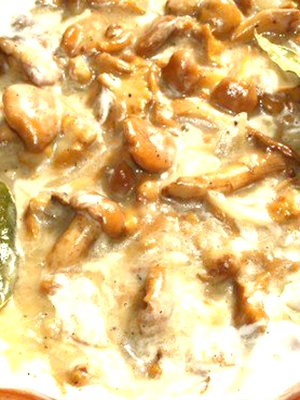 Лисички в сметане: рецепты грибных блюд