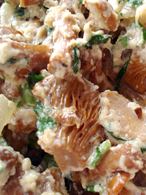 Лисички в сметане: рецепты грибных блюд