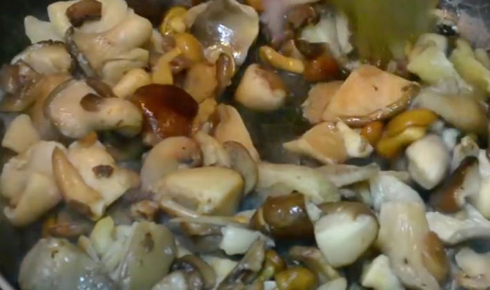 Супы из рыжиков: рецепты первых грибных блюд