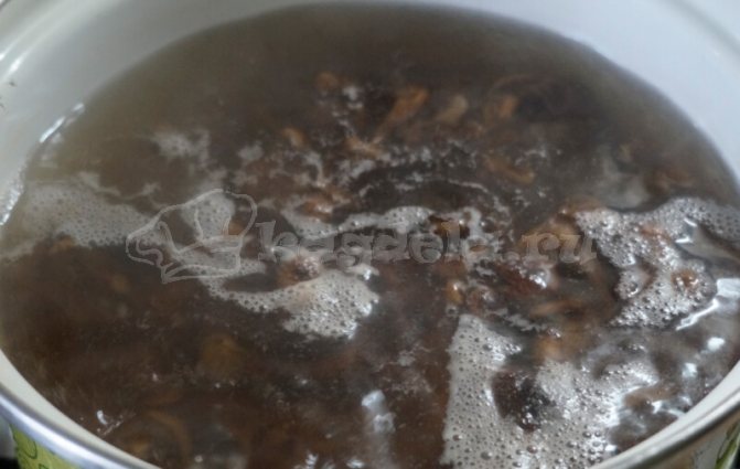 Как приготовить суп из сушеных грибов: сварить грибной из опят, рецепты приготовления, сколько варить из порошка, видео