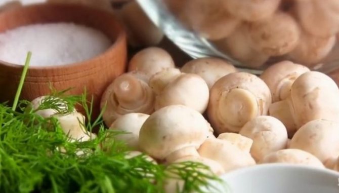 Как приготовить суп из сушеных грибов: сварить грибной из опят, рецепты приготовления, сколько варить из порошка, видео