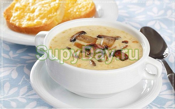 Сырный суп с опятами и куриным фаршем