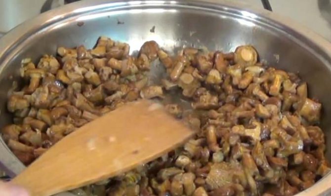 Лисички, тушеные в сметане: рецепты вкусных блюд