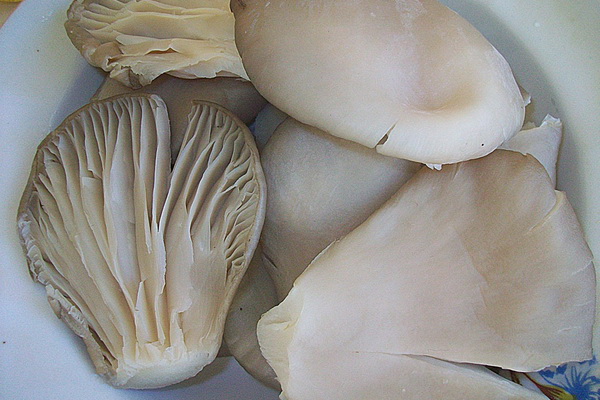 Вешенки в кляре: как приготовить грибы дома, рецепты с фото и видео