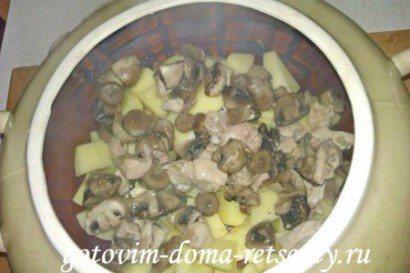 картофель с грибами и курицей в горшочке 4