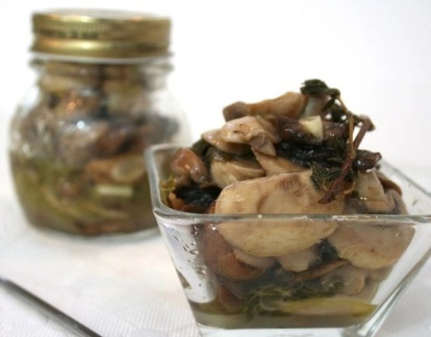 Как вкусно приготовить грибы зонтики: фото, видео, рецепты приготовления икры из зонтиков и других блюд