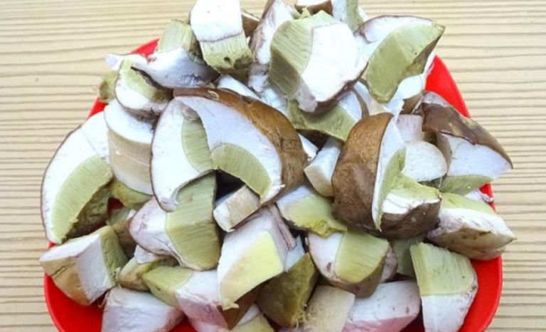 Как приготовить жареные белые грибы? Рецепты приготовления грибов на сковороде