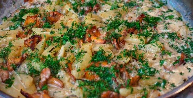 Свинина с лисичками в духовке, мультиварке, сковороде: фото и рецепты приготовления грибных блюд
