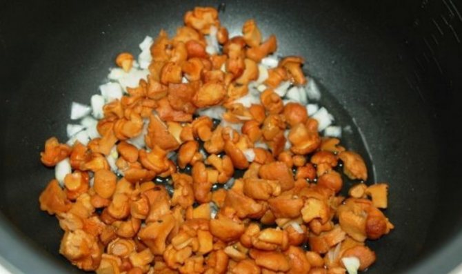 Свинина с лисичками в духовке, мультиварке, сковороде: фото и рецепты приготовления грибных блюд