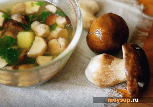 Грибной суп из замороженных грибов - 10 самых вкусных рецептов с фото пошагово