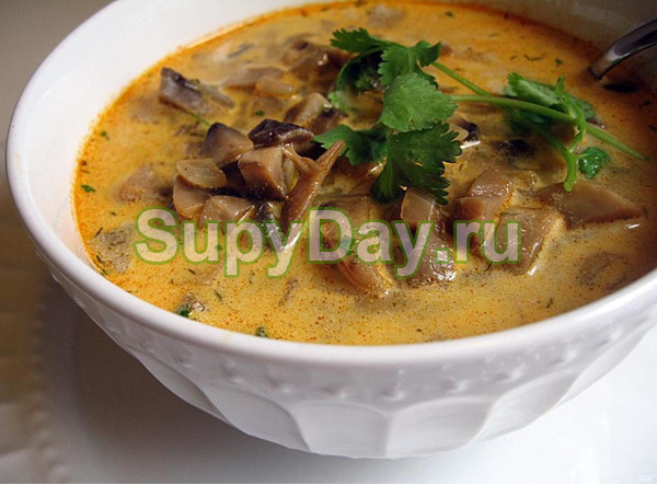 Суп с замороженными белыми грибами «Манник»