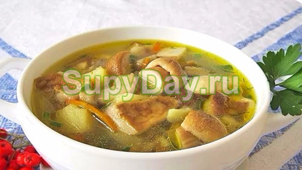 Суп с белыми грибами на курином бульоне