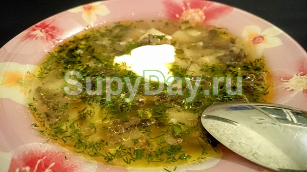 Суп из белых грибов на мясном бульоне